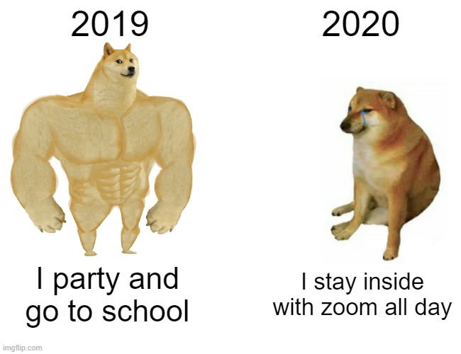 When Covid hit | 2019; 2020; I party and go to school; I stay inside with zoom all day | image tagged in memes,buff doge vs cheems | made w/ Imgflip meme maker