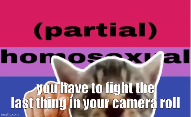 you have to fight the last thing in your camera roll | made w/ Imgflip meme maker
