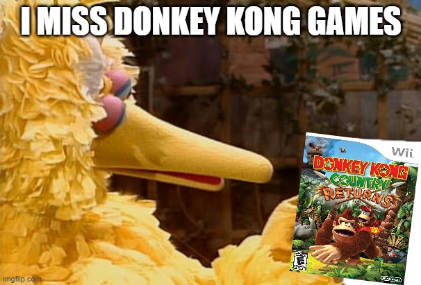 big bird misses donkey kong games | I MISS DONKEY KONG GAMES | image tagged in big bird misses who,donkey kong,nintendo,video games,missing | made w/ Imgflip meme maker