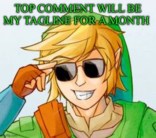 troll link | TOP COMMENT WILL BE MY TAGLINE FOR A MONTH | image tagged in troll link | made w/ Imgflip meme maker