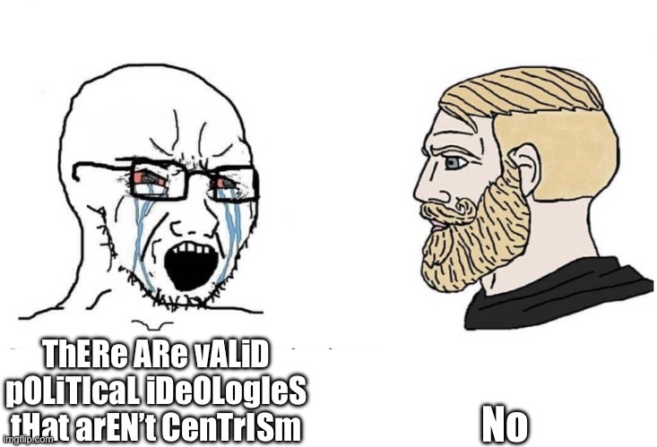 Soyboy Vs Yes Chad | No; ThERe ARe vALiD pOLiTIcaL iDeOLogIeS tHat arEN’t CenTrISm | image tagged in soyboy vs yes chad | made w/ Imgflip meme maker