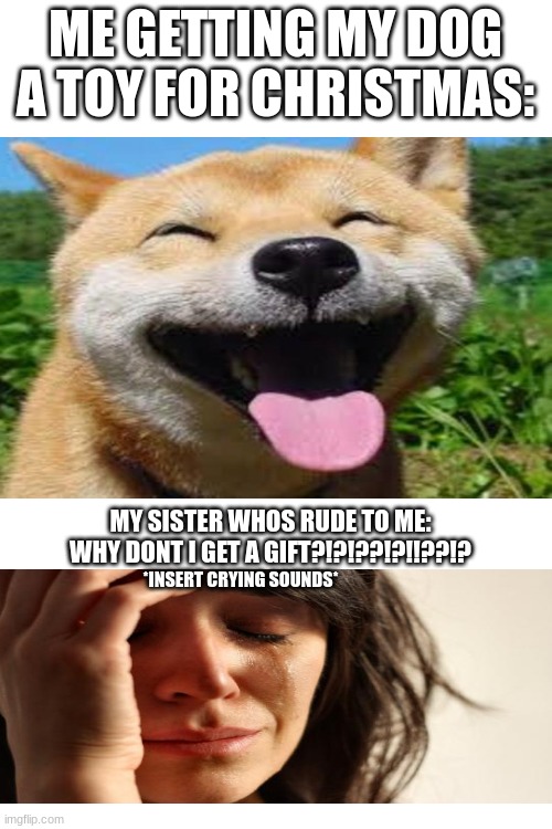 ME GETTING MY DOG A TOY FOR CHRISTMAS:; MY SISTER WHOS RUDE TO ME: WHY DONT I GET A GIFT?!?!??!?!!??!? *INSERT CRYING SOUNDS* | image tagged in meme,memes,dog,doge,sister | made w/ Imgflip meme maker