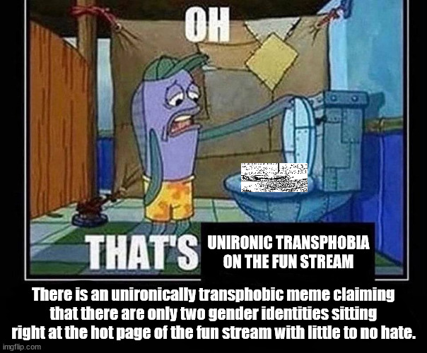 Real nice. | UNIRONIC TRANSPHOBIA ON THE FUN STREAM; There is an unironically transphobic meme claiming that there are only two gender identities sitting right at the hot page of the fun stream with little to no hate. | image tagged in oh that s | made w/ Imgflip meme maker