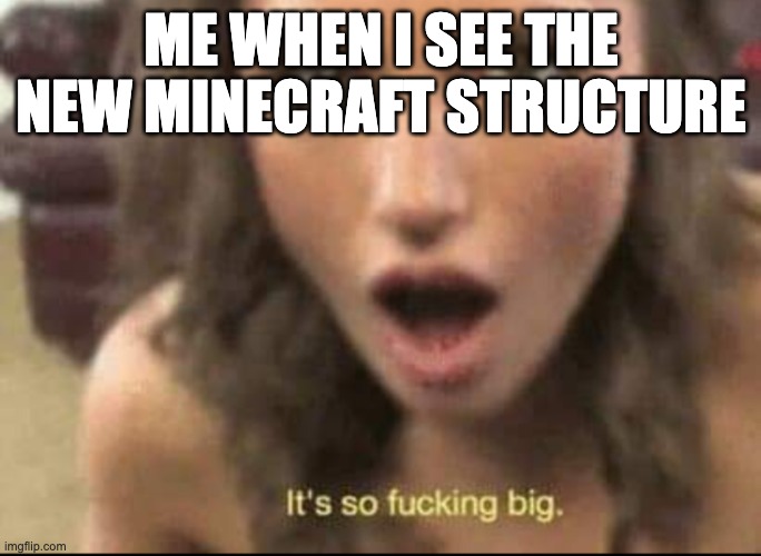 GOOD LORD | ME WHEN I SEE THE NEW MINECRAFT STRUCTURE | image tagged in it's so big,minecraft | made w/ Imgflip meme maker