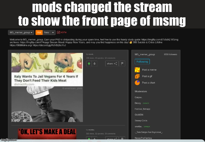 mods changed the stream to show the front page of msmg | made w/ Imgflip meme maker