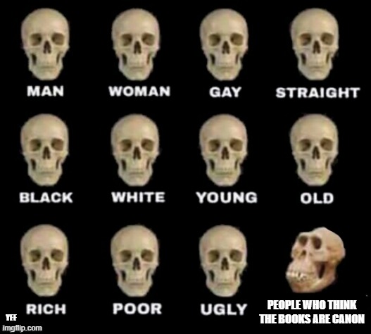 idiot skull | PEOPLE WHO THINK THE BOOKS ARE CANON; YEE | image tagged in idiot skull | made w/ Imgflip meme maker