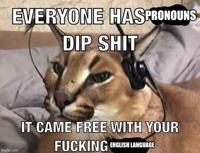 Everyone has X Dip Shit | PRONOUNS ENGLISH LANGUAGE | image tagged in everyone has x dip shit | made w/ Imgflip meme maker