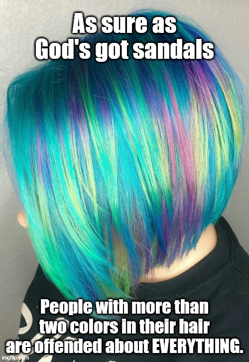 I'd say, "Prove me wrong," but you can't. | As sure as God's got sandals; People with more than two colors in their hair are offended about EVERYTHING. | image tagged in fragile souls,easily offended | made w/ Imgflip meme maker