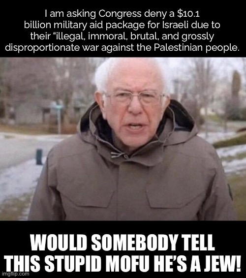 Bernie Sanders so F’n stupid | I am asking Congress deny a $10.1 billion military aid package for Israeli due to their “illegal, immoral, brutal, and grossly disproportionate war against the Palestinian people. WOULD SOMEBODY TELL THIS STUPID MOFU HE’S A JEW! | image tagged in i am once again asking,bernie sanders,israel war,hezbollah,palestine | made w/ Imgflip meme maker
