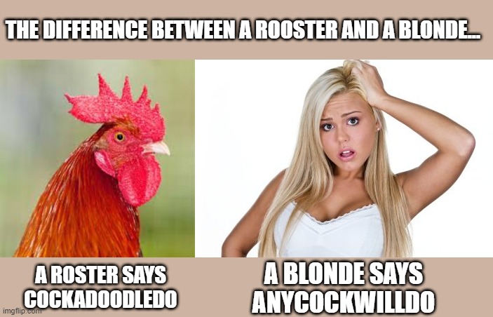 Rooster and a Blonde | THE DIFFERENCE BETWEEN A ROOSTER AND A BLONDE... A BLONDE SAYS ANYCOCKWILLDO; A ROSTER SAYS COCKADOODLEDO | image tagged in rooster,dumb blonde | made w/ Imgflip meme maker