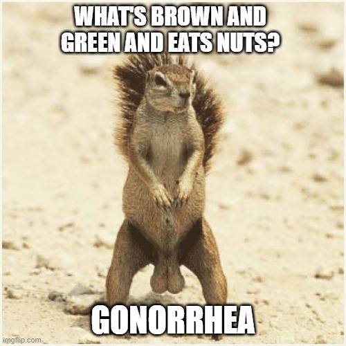 Eats Nuts | WHAT'S BROWN AND GREEN AND EATS NUTS? GONORRHEA | image tagged in deez nuts | made w/ Imgflip meme maker