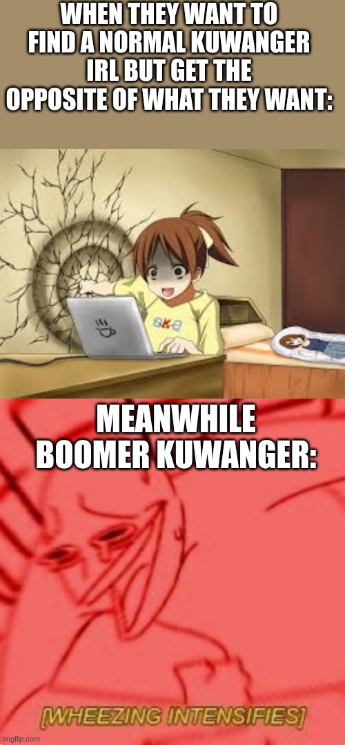 WHEN THEY WANT TO FIND A NORMAL KUWANGER IRL BUT GET THE OPPOSITE OF WHAT THEY WANT:; MEANWHILE BOOMER KUWANGER: | image tagged in anime girl punches the wall,wheezing intensifies,megaman x | made w/ Imgflip meme maker