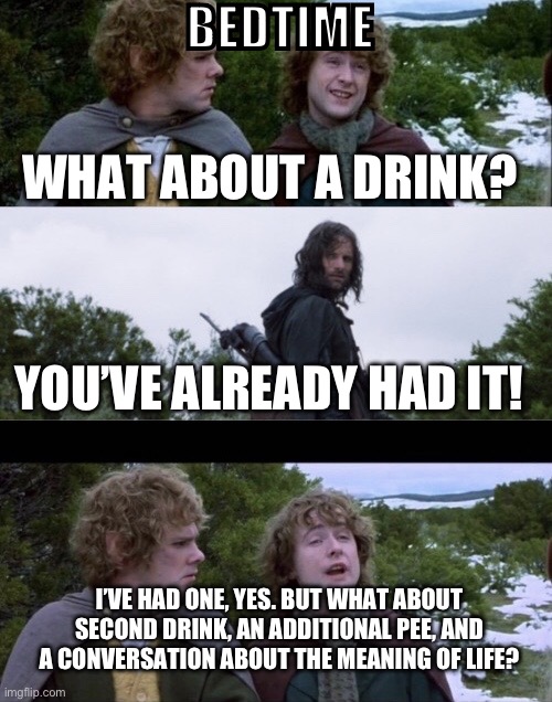 Pippin Second Breakfast | BEDTIME; WHAT ABOUT A DRINK? YOU’VE ALREADY HAD IT! I’VE HAD ONE, YES. BUT WHAT ABOUT SECOND DRINK, AN ADDITIONAL PEE, AND A CONVERSATION ABOUT THE MEANING OF LIFE? | image tagged in pippin second breakfast | made w/ Imgflip meme maker