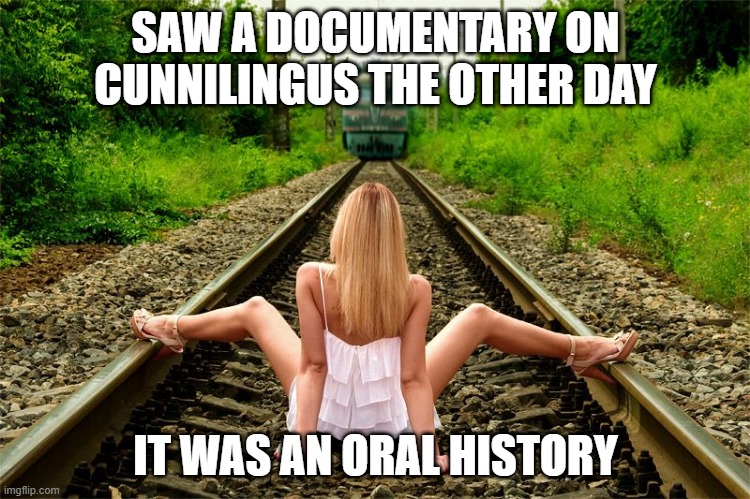 Oral History | SAW A DOCUMENTARY ON CUNNILINGUS THE OTHER DAY; IT WAS AN ORAL HISTORY | image tagged in girl spreading legs for train | made w/ Imgflip meme maker