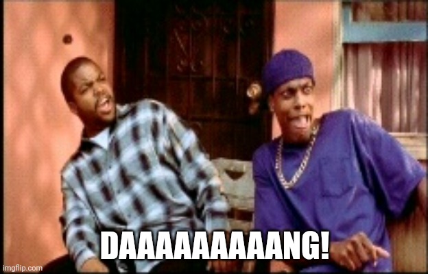 Damnnnn you got roasted | DAAAAAAAAANG! | image tagged in damnnnn you got roasted | made w/ Imgflip meme maker