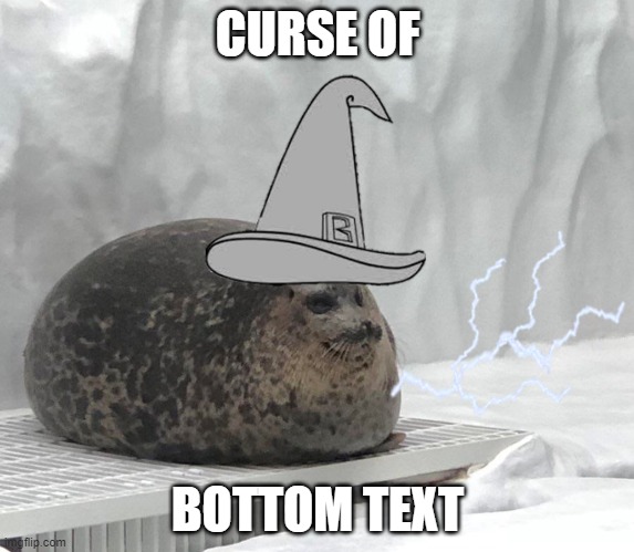 Wizard Seal | CURSE OF; BOTTOM TEXT | image tagged in wizard seal | made w/ Imgflip meme maker