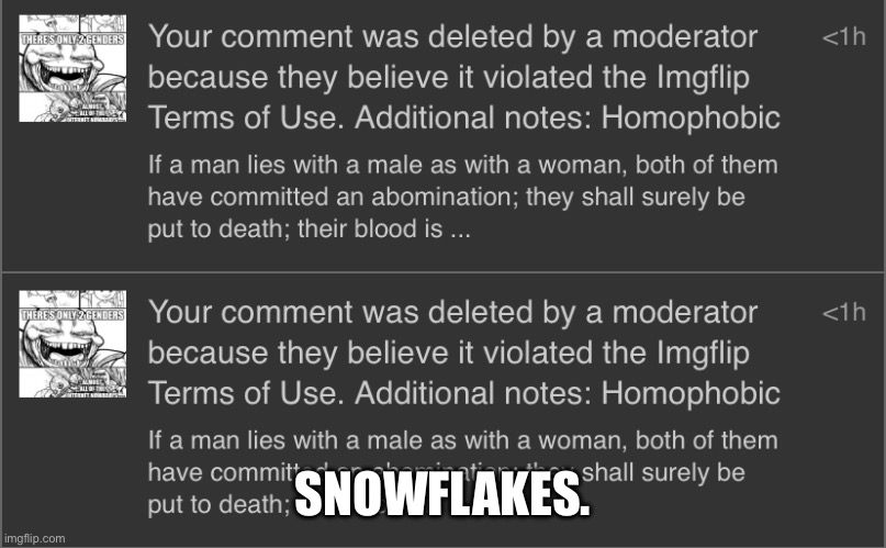 Imgflip is in a bad spot, that’s why there’s so few people. | SNOWFLAKES. | made w/ Imgflip meme maker