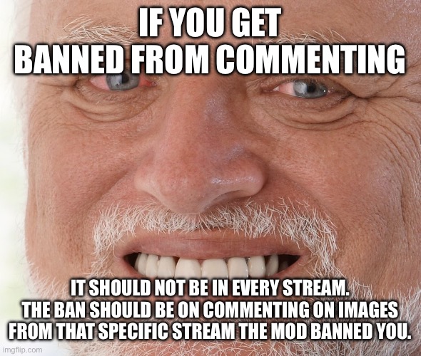 Hide the Pain Harold | IF YOU GET BANNED FROM COMMENTING; IT SHOULD NOT BE IN EVERY STREAM. THE BAN SHOULD BE ON COMMENTING ON IMAGES FROM THAT SPECIFIC STREAM THE MOD BANNED YOU. | image tagged in hide the pain harold | made w/ Imgflip meme maker