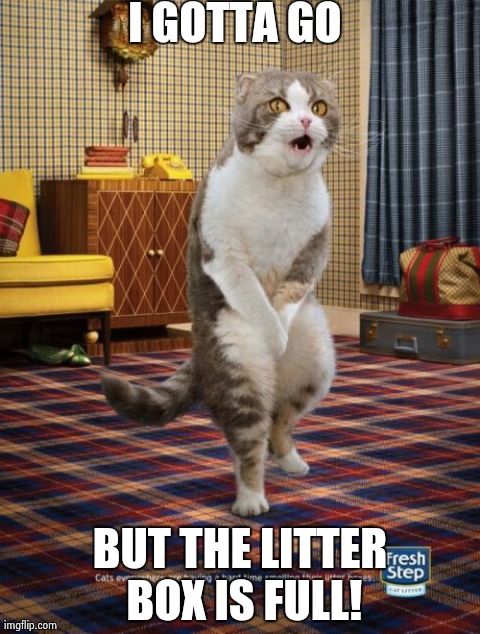 Gotta Go Cat Meme | I GOTTA GO BUT THE LITTER BOX IS FULL! | image tagged in memes,gotta go cat | made w/ Imgflip meme maker