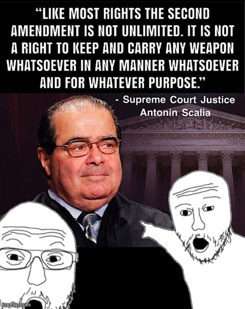 Words of wisdom | image tagged in antonin scalia gun control advocate,supreme court,conservative,judge | made w/ Imgflip meme maker