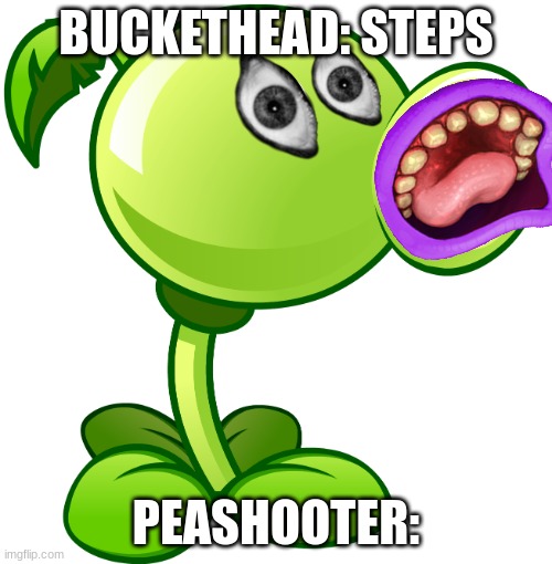 Peashooter | BUCKETHEAD: STEPS; PEASHOOTER: | image tagged in peashooter | made w/ Imgflip meme maker