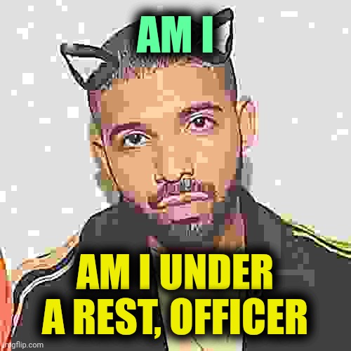 . | AM I; AM I UNDER A REST, OFFICER | made w/ Imgflip meme maker