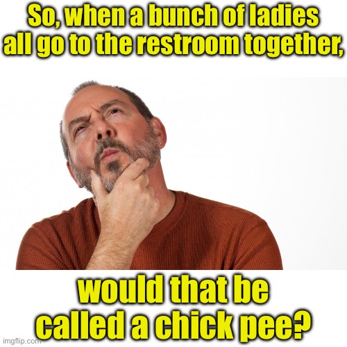 Hmm | So, when a bunch of ladies all go to the restroom together, would that be called a chick pee? | image tagged in hmmm | made w/ Imgflip meme maker