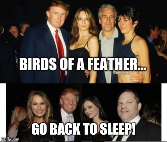 Trumps Friends | GO BACK TO SLEEP! | image tagged in trumps friends | made w/ Imgflip meme maker