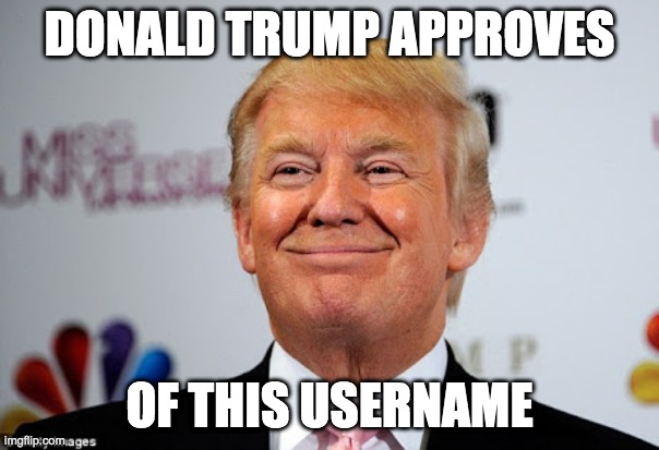 Donald trump approves | DONALD TRUMP APPROVES; OF THIS USERNAME | image tagged in donald trump approves | made w/ Imgflip meme maker