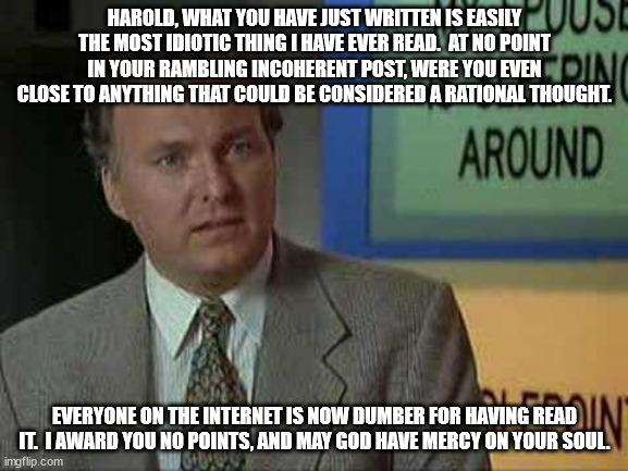 Billy Madison Insult | HAROLD, WHAT YOU HAVE JUST WRITTEN IS EASILY THE MOST IDIOTIC THING I HAVE EVER READ.  AT NO POINT IN YOUR RAMBLING INCOHERENT POST, WERE YOU EVEN CLOSE TO ANYTHING THAT COULD BE CONSIDERED A RATIONAL THOUGHT. EVERYONE ON THE INTERNET IS NOW DUMBER FOR HAVING READ IT.  I AWARD YOU NO POINTS, AND MAY GOD HAVE MERCY ON YOUR SOUL. | image tagged in billy madison insult | made w/ Imgflip meme maker