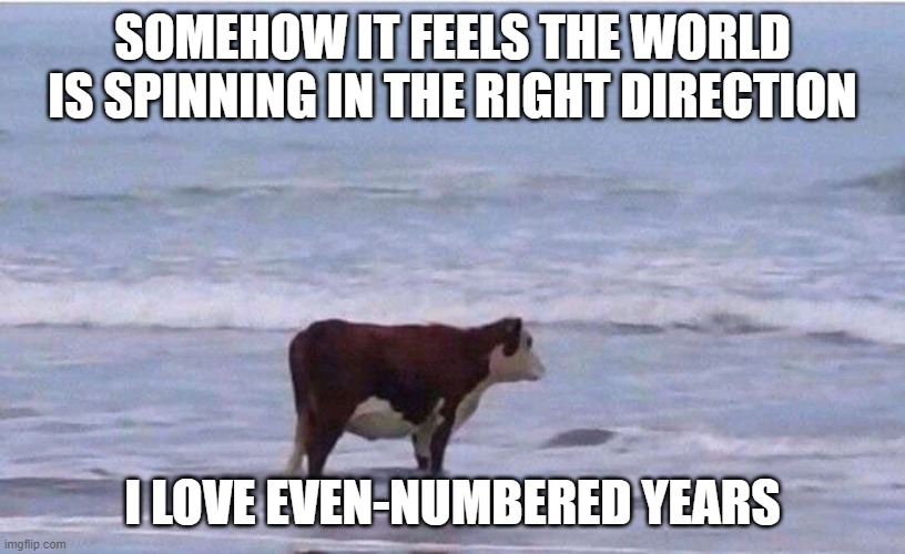 2024 | SOMEHOW IT FEELS THE WORLD IS SPINNING IN THE RIGHT DIRECTION; I LOVE EVEN-NUMBERED YEARS | image tagged in existential cow | made w/ Imgflip meme maker