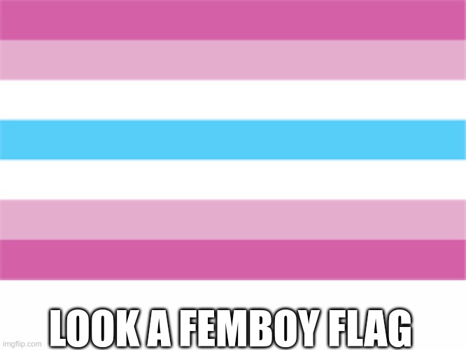 LOOK A FEMBOY FLAG | image tagged in white text box | made w/ Imgflip meme maker