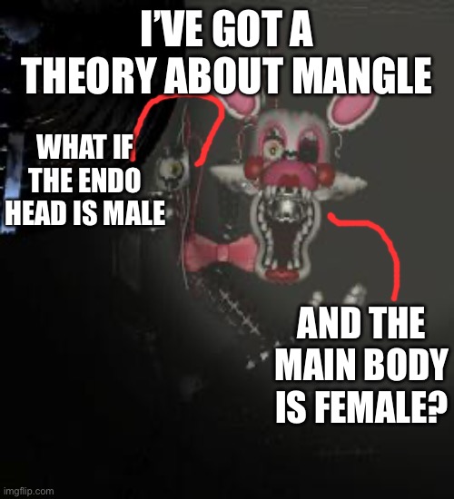 Mangle | I’VE GOT A THEORY ABOUT MANGLE; WHAT IF THE ENDO HEAD IS MALE; AND THE MAIN BODY IS FEMALE? | image tagged in mangle,fnaf | made w/ Imgflip meme maker