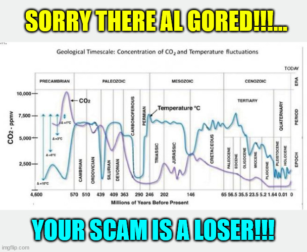 Concentration of CO2 and Temperature Fluctuations...  Al Gore BUSTED | SORRY THERE AL GORED!!!... YOUR SCAM IS A LOSER!!! | image tagged in climate change,hoax,money scam,liar,al gore | made w/ Imgflip meme maker