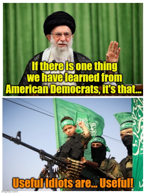 Their influence knows no bounds. | If there is one thing we have learned from American Democrats, it's that... Useful Idiots are... Useful! | made w/ Imgflip meme maker