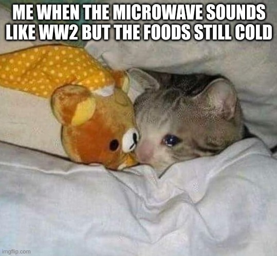 real | ME WHEN THE MICROWAVE SOUNDS LIKE WW2 BUT THE FOODS STILL COLD | image tagged in crying cat | made w/ Imgflip meme maker