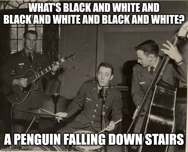 Daddy Rabbit memes | WHAT'S BLACK AND WHITE AND BLACK AND WHITE AND BLACK AND WHITE? A PENGUIN FALLING DOWN STAIRS | image tagged in funny,penguins,rock and roll | made w/ Imgflip meme maker