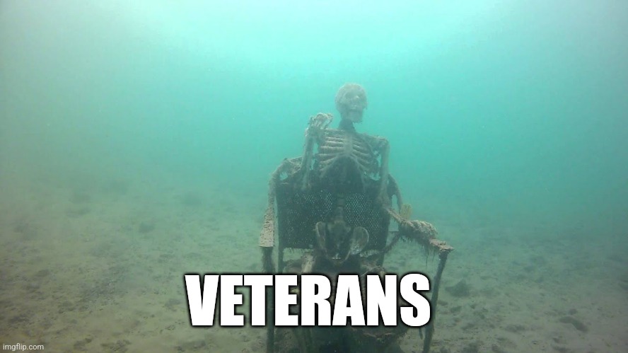 skeleton underwater | VETERANS | image tagged in skeleton underwater | made w/ Imgflip meme maker