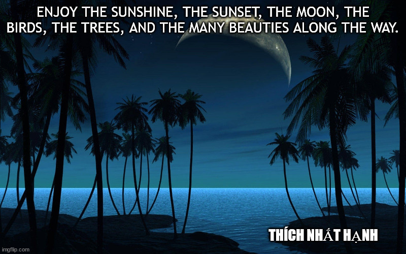 Enjoy the Moon and Stars | ENJOY THE SUNSHINE, THE SUNSET, THE MOON, THE BIRDS, THE TREES, AND THE MANY BEAUTIES ALONG THE WAY. THÍCH NHẤT HẠNH | image tagged in thich nhat hanh,moon beach,night beach | made w/ Imgflip meme maker