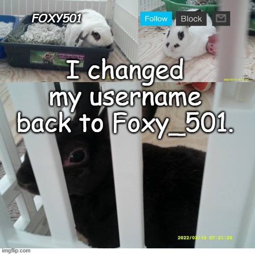 Foxy501 announcement template | I changed my username back to Foxy_501. | image tagged in foxy501 announcement template | made w/ Imgflip meme maker