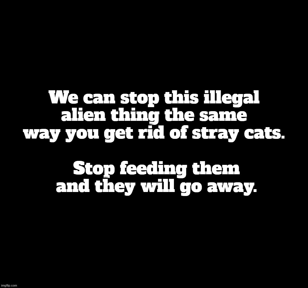 How To Stop The Illegal Alien Invasion Imgflip