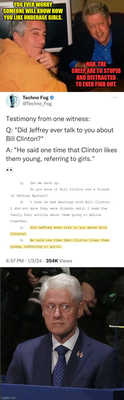 Let The Memeing Begin! | YOU EVER WORRY SOMEONE WILL KNOW HOW YOU LIKE UNDERAGE GIRLS. NAH, THE SHEEP ARE TO STUPID AND DISTRACTED TO EVER FIND OUT. | image tagged in jeffery epstein and bill clinton,bill clinton scared,pedophiles | made w/ Imgflip meme maker