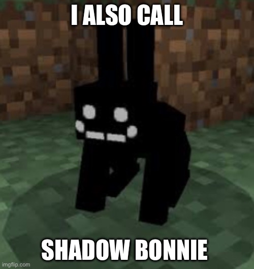 Yes I do! | I ALSO CALL; SHADOW BONNIE | image tagged in black rabbit | made w/ Imgflip meme maker