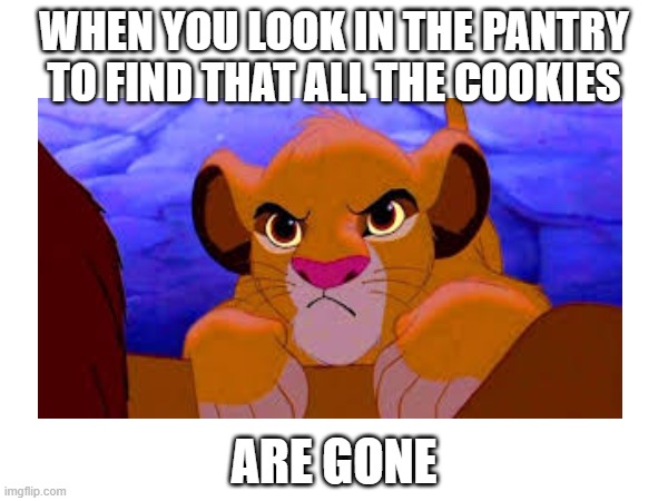 Simba mad about gone cookies LOL | WHEN YOU LOOK IN THE PANTRY TO FIND THAT ALL THE COOKIES; ARE GONE | image tagged in lol so funny | made w/ Imgflip meme maker