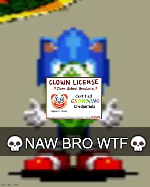 ohio | 💀NAW BRO WTF💀 | image tagged in ohio,sonic,memes,funny,clown | made w/ Imgflip meme maker