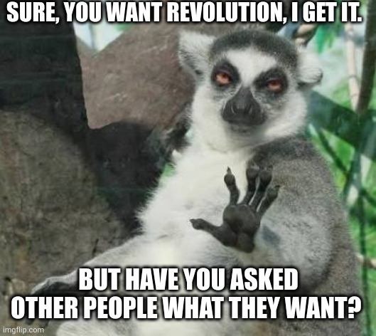 Sure, revolution, woohoo! But does anyone ELSE want it? | SURE, YOU WANT REVOLUTION, I GET IT. BUT HAVE YOU ASKED OTHER PEOPLE WHAT THEY WANT? | image tagged in no thanks lemur,revolution,memes,what do we want,consent,listen | made w/ Imgflip meme maker