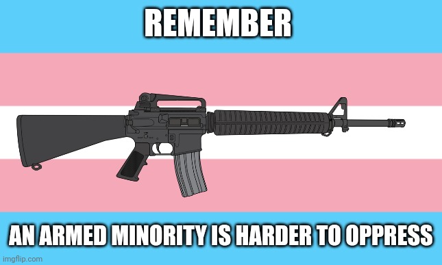 Use the rights they cling to to defend yourselves from them | REMEMBER; AN ARMED MINORITY IS HARDER TO OPPRESS | image tagged in trans flag | made w/ Imgflip meme maker