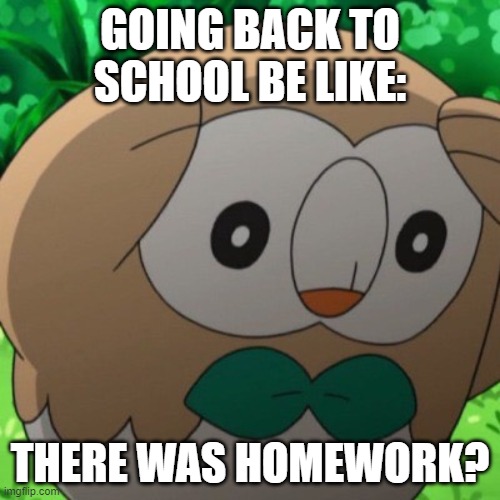 Rowlet Meme Template | GOING BACK TO SCHOOL BE LIKE:; THERE WAS HOMEWORK? | image tagged in rowlet meme template | made w/ Imgflip meme maker