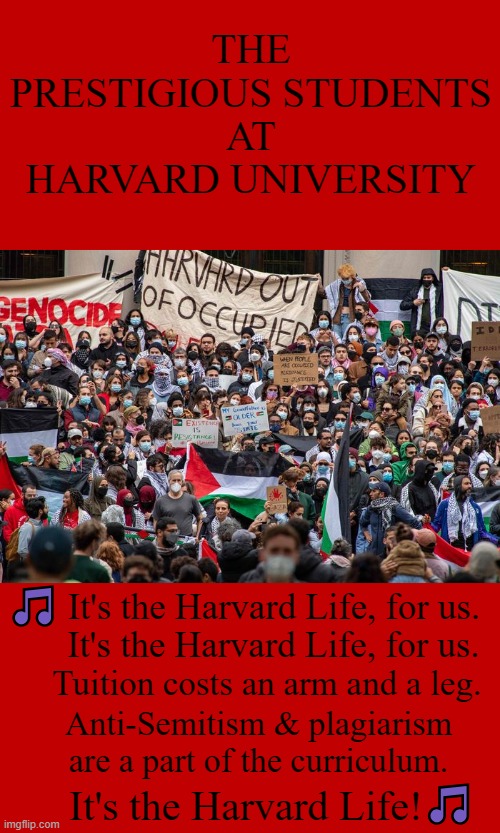 Crimson Blues | THE PRESTIGIOUS STUDENTS AT HARVARD UNIVERSITY; 🎵 It's the Harvard Life, for us. It's the Harvard Life, for us. Tuition costs an arm and a leg. Anti-Semitism & plagiarism are a part of the curriculum. It's the Harvard Life! 🎵 | image tagged in elite,university,life,antisemitism,plagiarism,annie | made w/ Imgflip meme maker