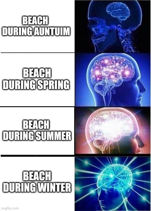 Expanding Brain | BEACH   DURING AUNTUIM; BEACH DURING SPRING; BEACH  DURING SUMMER; BEACH DURING WINTER | image tagged in memes,expanding brain | made w/ Imgflip meme maker